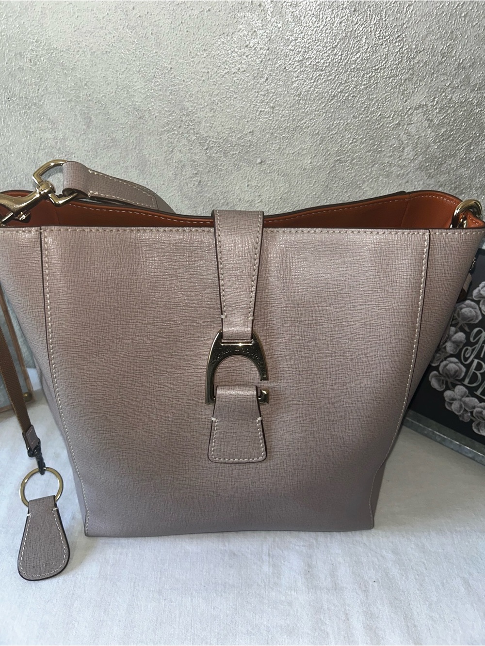 Dooney & Bourke Ashby Pale Blush Tote with Gold Hardware - Women's Shoulder Bag